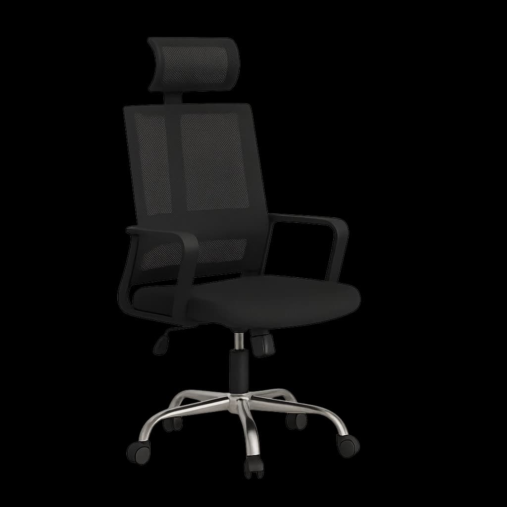 Ergonomic Chair Basic