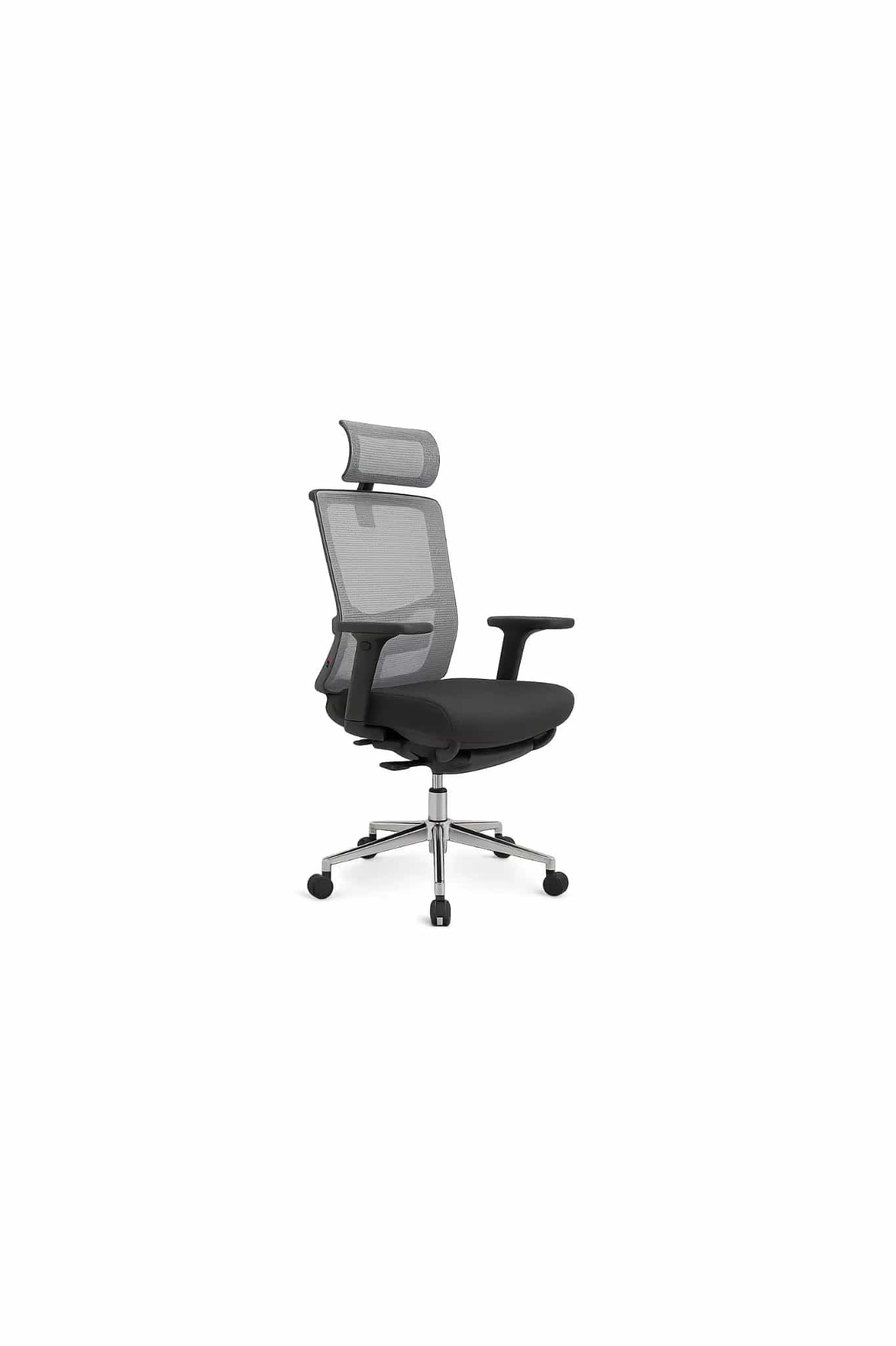 Ergonomic Chair Plus - Premium Workstation Rental Bali